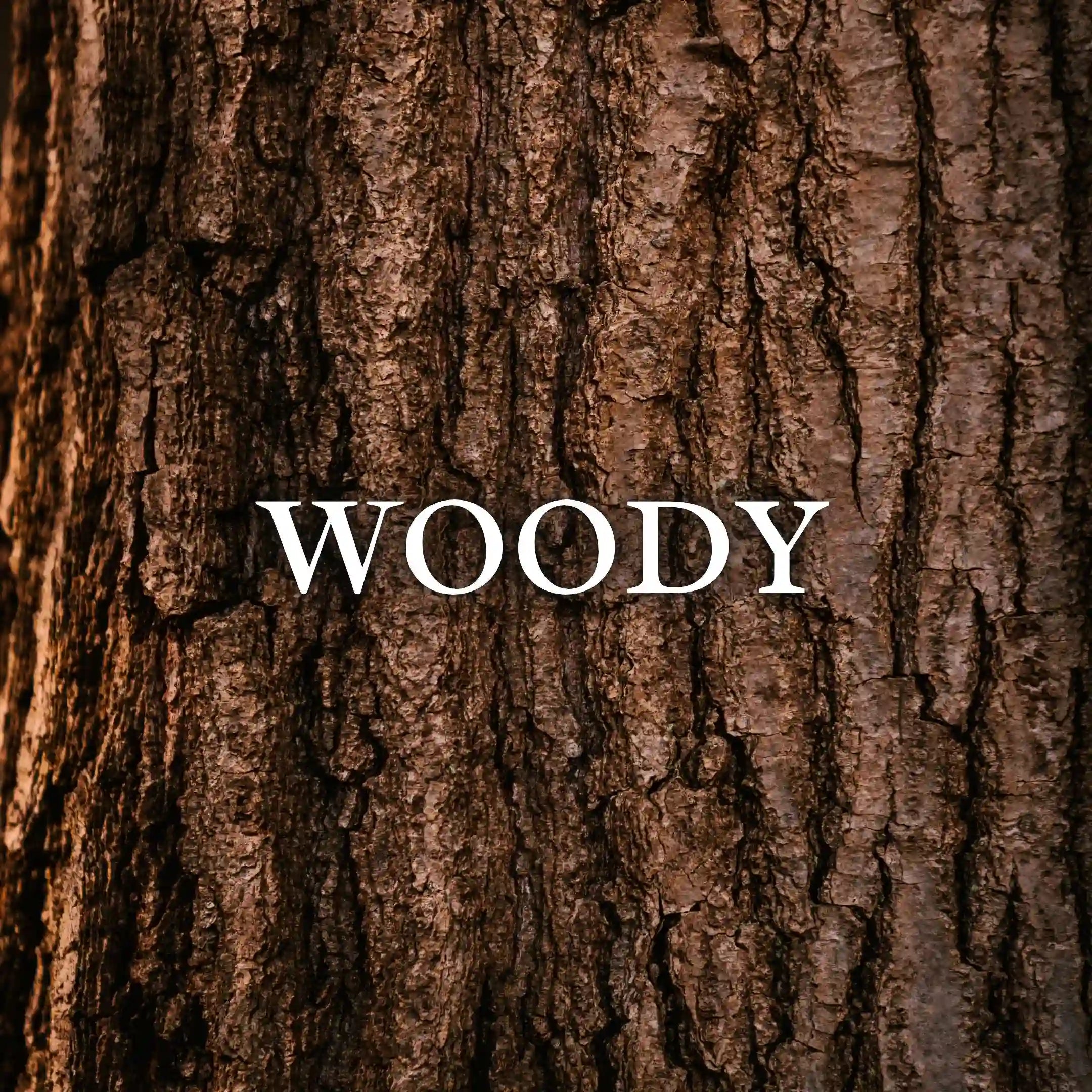Woody (ウッディ)