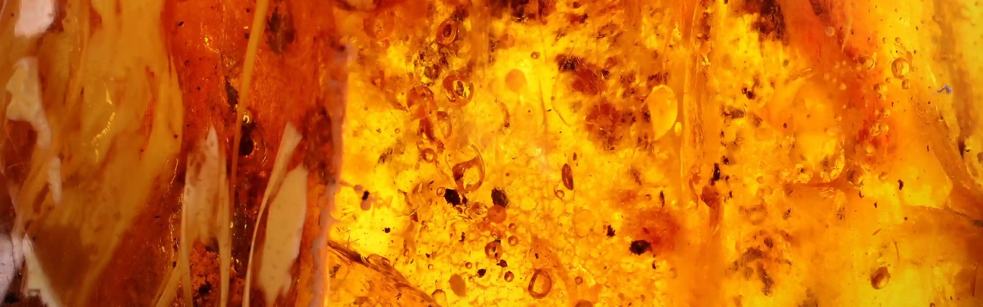 Oudelier アンバリー オリエンタル コレクション - 上質なウード木のクローズアップ