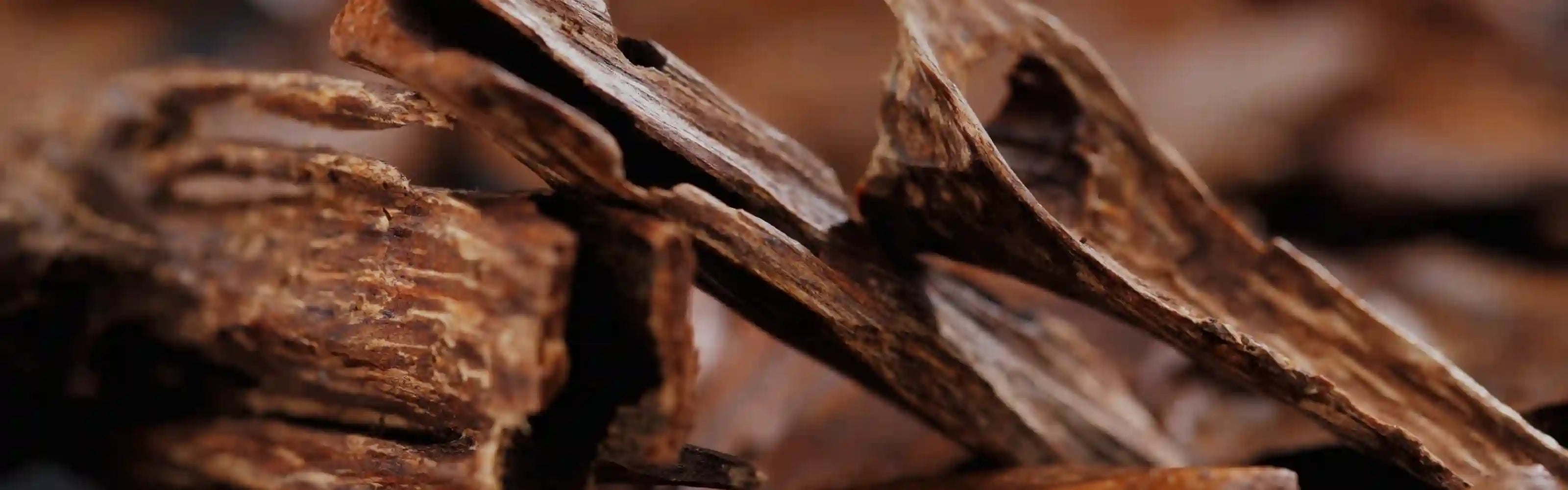Oudelier アラビアン ウード コレクション - 熟成したウード木のクローズアップ