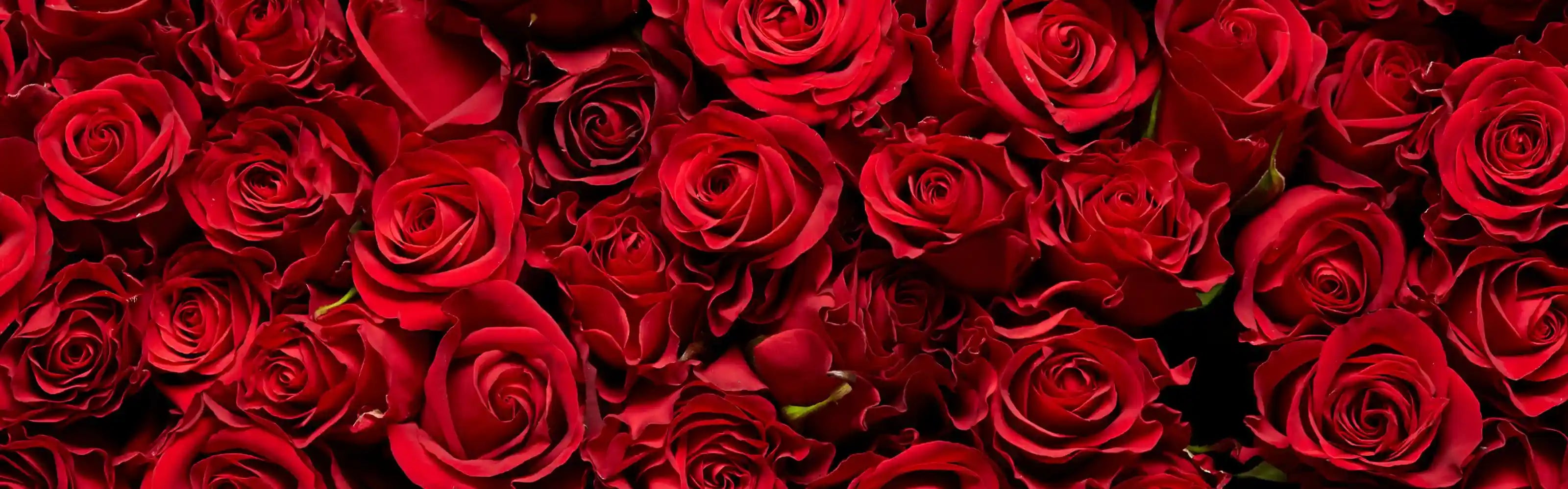 Oudelier フローラル香水コレクション - バラの花束が表現するロマンティック香水