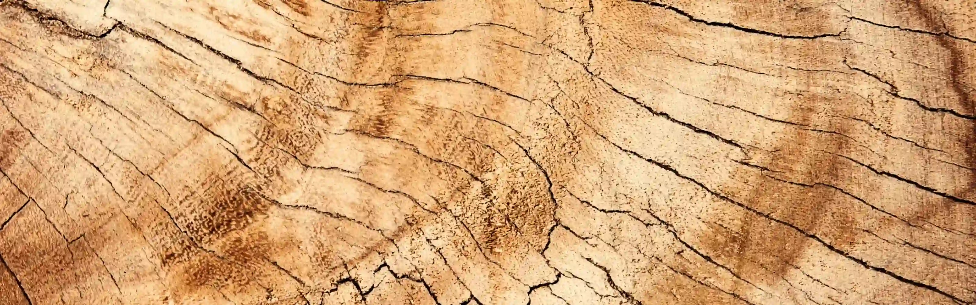 Oudelier ウッディ香水コレクション - ウード&樹木系メンズフレグランス